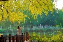 成人小视频免费澳门-成人小视频免费澳门的网络现象与影响分析