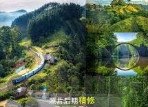 成人在线视频5x-成人在线视频5x，数字背后的多元需求与内容探索