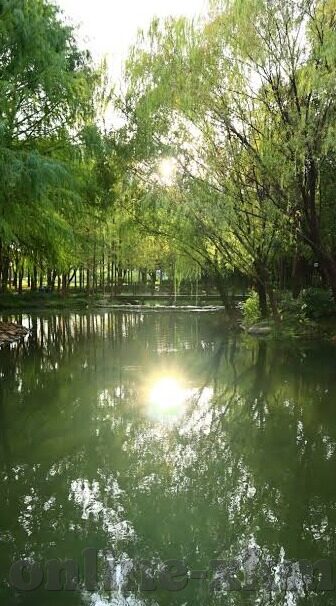 黄台app软件下载糖心-解锁娱乐新境界——黄台糖心APP下载体验与功能详析