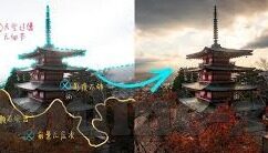 糖心app动态怎么保存-如何高效保存糖心app动态，从实操技巧到心得分享