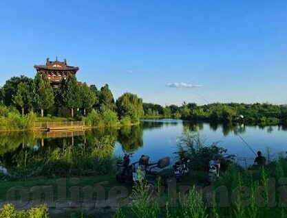 www800av麻豆-www800av麻豆现象的多元审视与批判性思考
