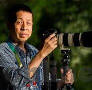 小蝌蚪麻豆91-小蝌蚪的奇妙之旅——一次关于成长与探索的童趣幻想