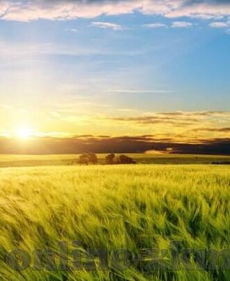宅宅网伦理-宅文化与网络伦理的和谐共生，在虚拟与现实间寻找平衡